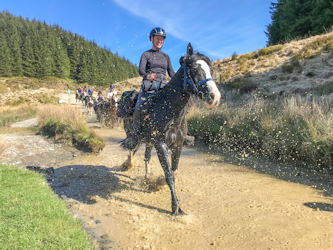 Galopp Wales